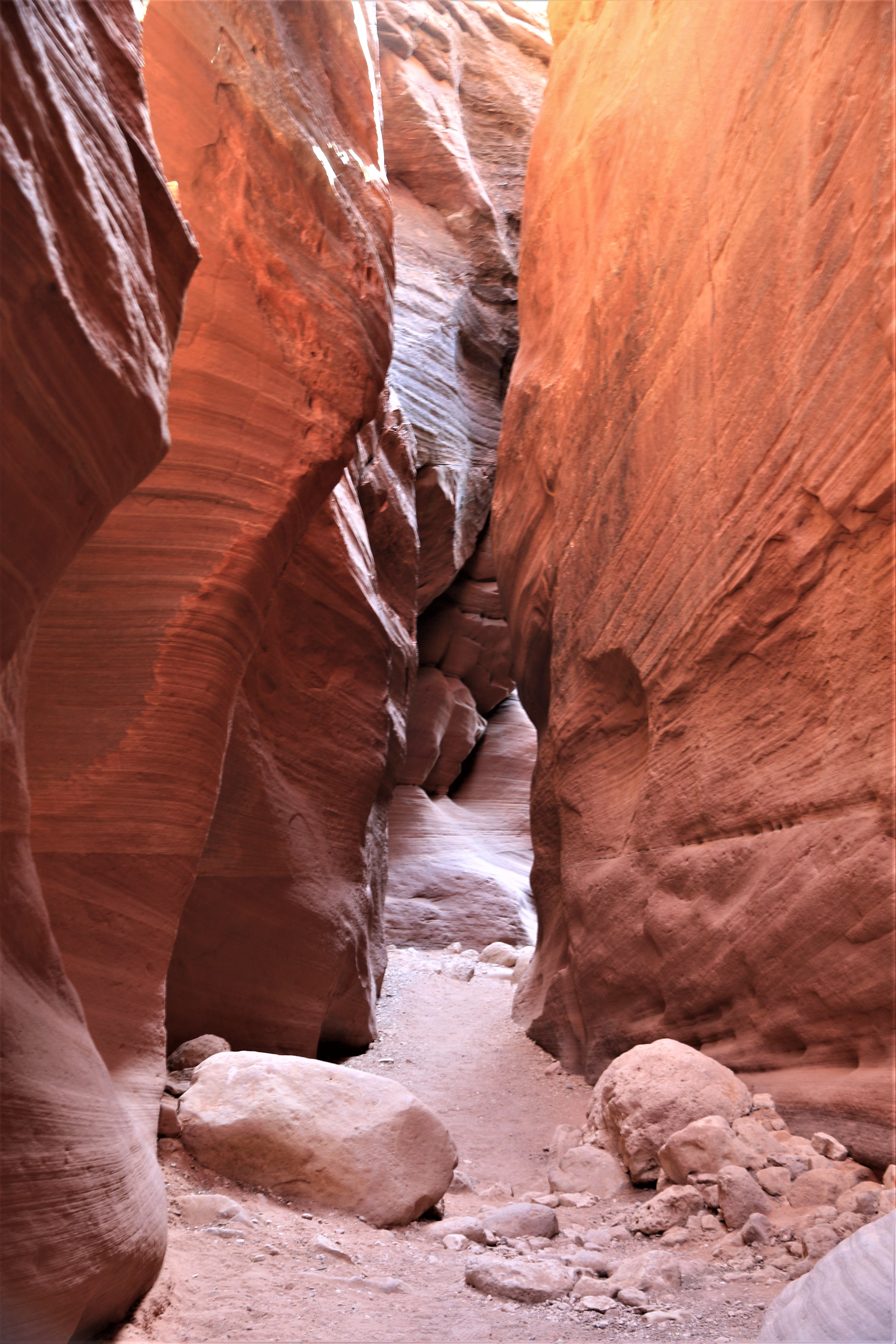 Vermillion Cliffs NM